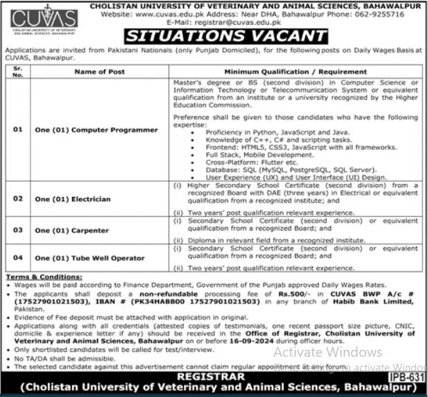 Situations Vacant at CUVAS Bahawalpur Jobs 2024