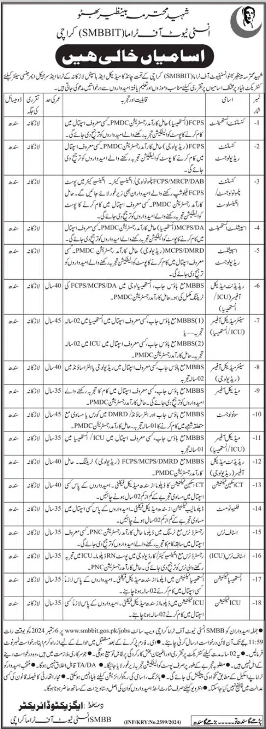 Shaheed Benazir Bhutto Institute of Science and Technology Jobs in Karachi 2024