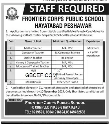 Situations Vacant at Frontier Corps Public School Hayatabad Jobs 2024