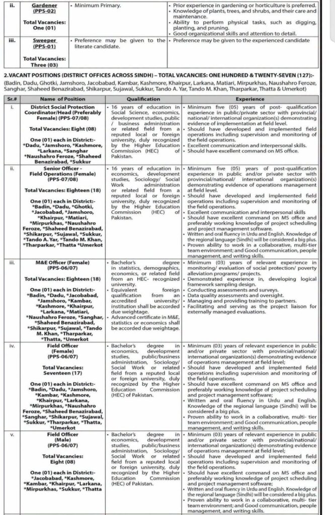 Sindh Social Protection Authority SSPA Jobs 2026: Apply Online via NTS